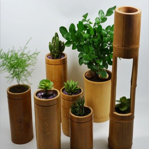 Bamboo Flower Pot